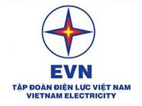 Vietnam Electricity